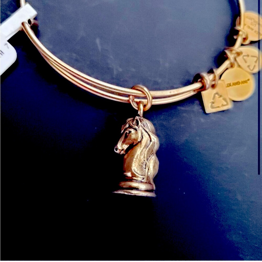 Alex and Ani “The Knight” Chess ♟️ Bracelet